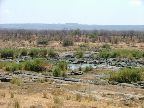 019 Krugerpark.JPG