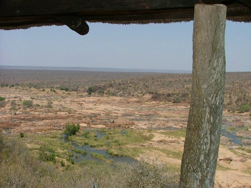 027 Krugerpark Olifants.JPG