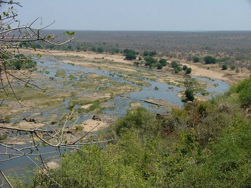 028 Krugerparj Olifants.JPG