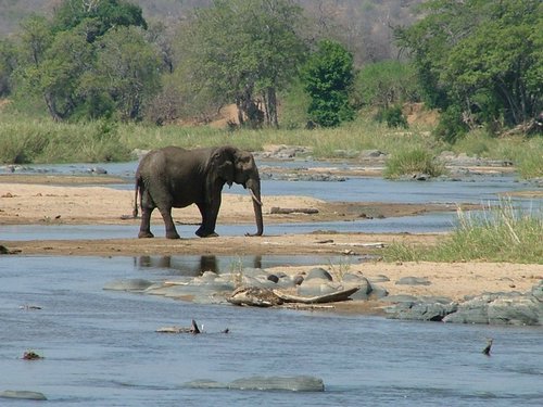 029 Krugerpark.JPG