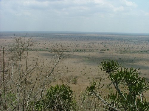 051 Krugerpark.JPG