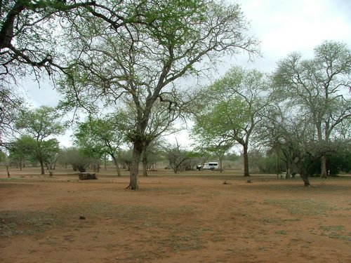 064 Swaziland Hlane.JPG