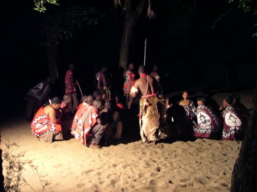 071 Swaziland Hlane.JPG
