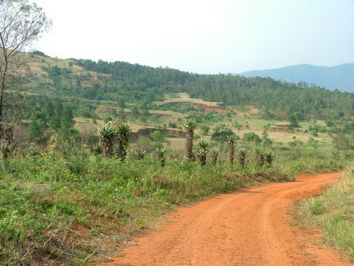 105 Swaziland Mlilwane.JPG