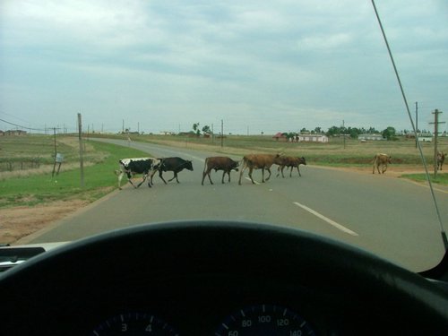 109 Swaziland.JPG