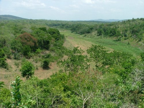 118 Hluhluwe Imfolozi park.JPG