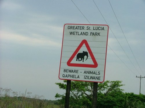 147 St.Lucia wetlands.JPG