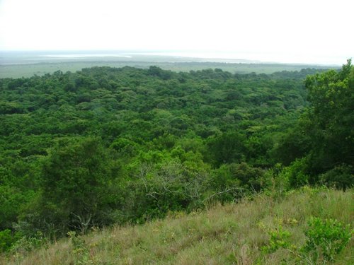 148 St.Lucia wetlands.JPG