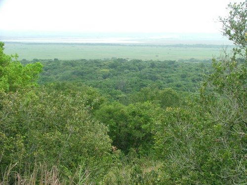149 St.Lucia wetlands.JPG