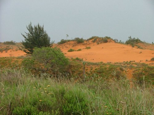 154 St.Lucia wetlands.JPG