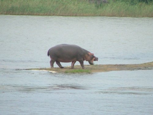 159 St.Lucia wetlands.JPG