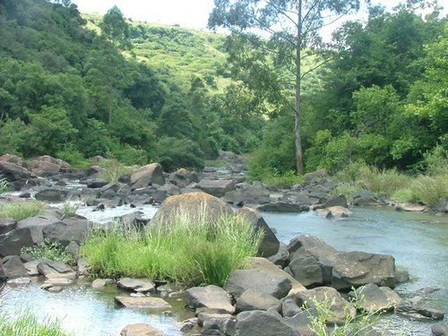 172 Howick falls.JPG