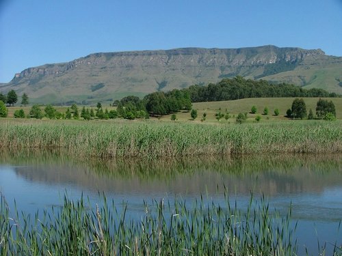 183 Kamberg Glangarry park.JPG