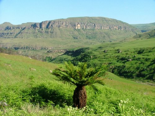 195 Drakensgebergte Injesuthi.JPG