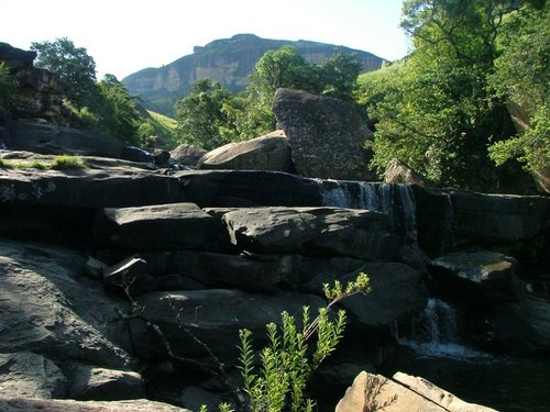 203 Drakensgebergte Royal Natal.JPG