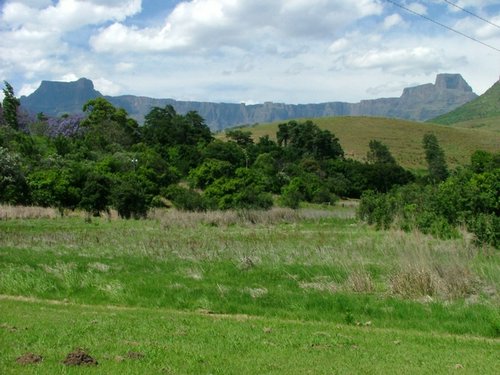 211 Drakensgebergte Royal Natal.JPG