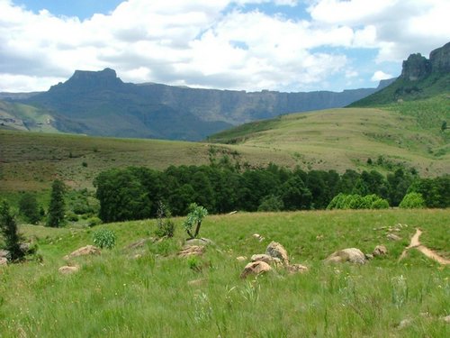 213 Drakensgebergte Royal Natal.JPG
