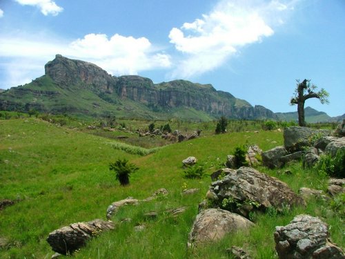 214 Drakensgebergte Royal Natal.JPG