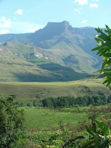 215 Drakensgebergte Royal Natal.JPG