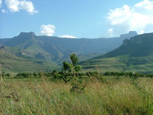 216 Drakensgebergte Royal Natal.JPG