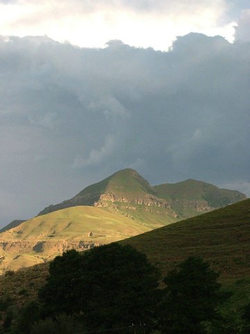 217 Drakensgebergte Royal Natal.JPG