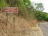 005 Magoebaskloof thee plantage.JPG