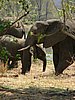 017 Krugerpark.JPG