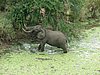 023 Krugerpark.JPG
