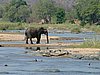 029 Krugerpark.JPG