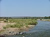 030 Krugerpark.JPG