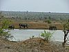 053 Krugerpark.JPG