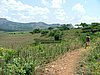 096 Swaziland Mlilwane.JPG