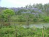 097 Swaziland Mlilwane.JPG