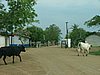 111 Swaziland grenspost.JPG