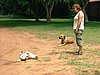 116 Camoing Bushbaby lodge.JPG