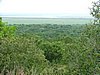 149 St.Lucia wetlands.JPG
