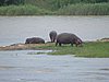 160 St.Lucia wetlands.JPG