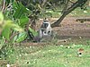 166 Blythdale Beach.JPG