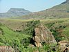 204 Drakensgebergte Royal Natal.JPG