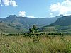 216 Drakensgebergte Royal Natal.JPG