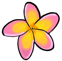 frangipani